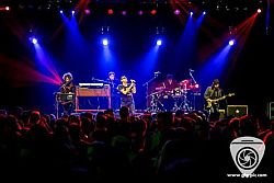 Barry Hay Flying V formation show photo by Sander van den Berg's GigPics